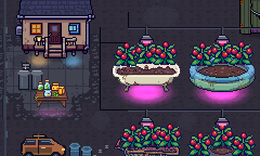 The house, van and tomato planters under night grow lamps