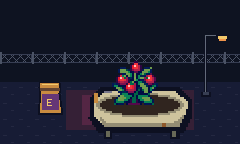 Tomato plants and seed packs under a lamp after dark